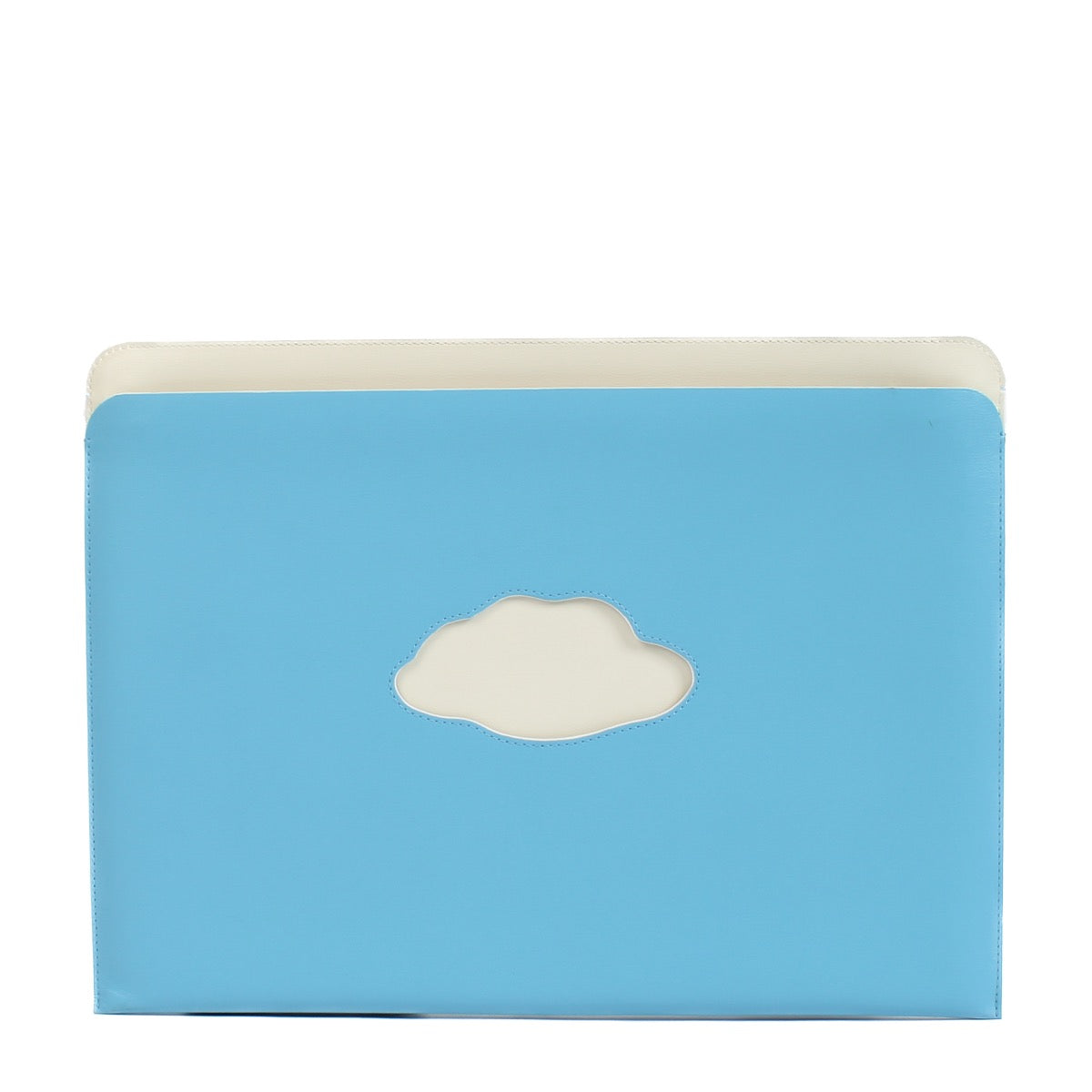 shop 100% authentic second hand Delvaux Ciel/Ivory Triompe L'oeil La Corde Sensible Pochette A4 on Labellov.com