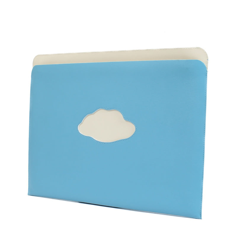 shop 100% authentic second hand Delvaux Ciel/Ivory Triompe L'oeil La Corde Sensible Pochette A4 on Labellov.com