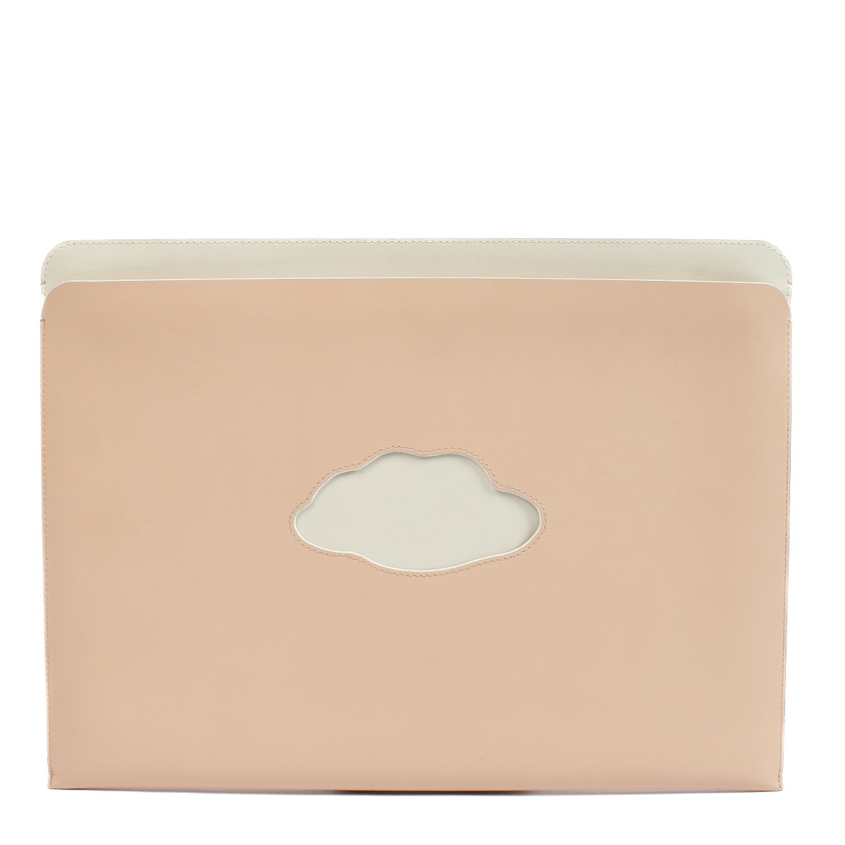 shop 100% authentic second hand Delvaux Pink Magritte Clutch on Labellov.com