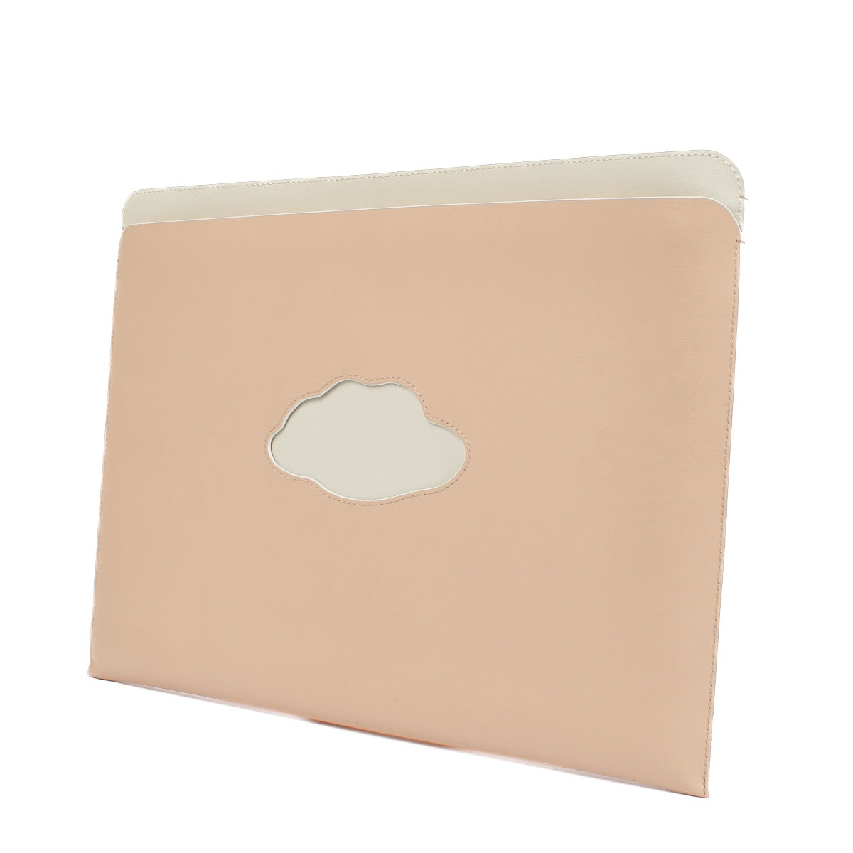shop 100% authentic second hand Delvaux Pink Magritte Clutch on Labellov.com