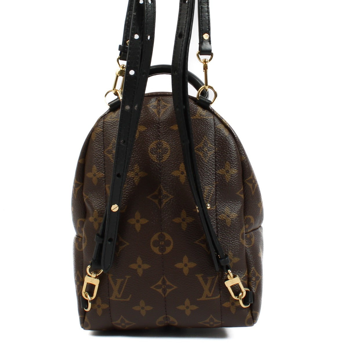 Louis Vuitton Monogram Palm Springs Mini Rugzak
