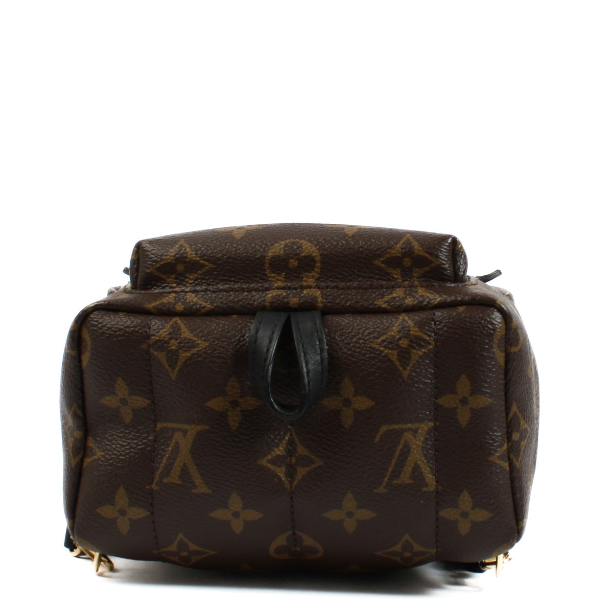 Louis Vuitton Monogram Palm Springs Mini Rugzak