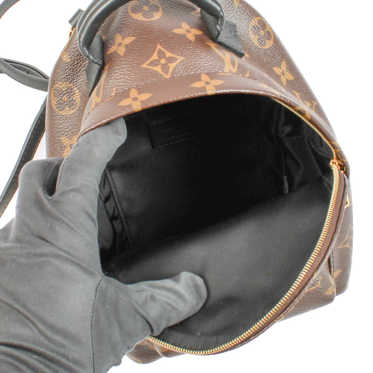 Louis Vuitton Monogram Palm Springs Mini Rugzak