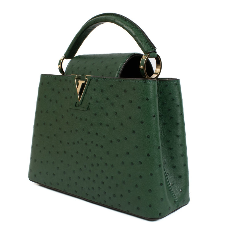 Authentic second hand Louis Vuitton Green Mini Ostrich Capucines BB Bag on Labellov.com