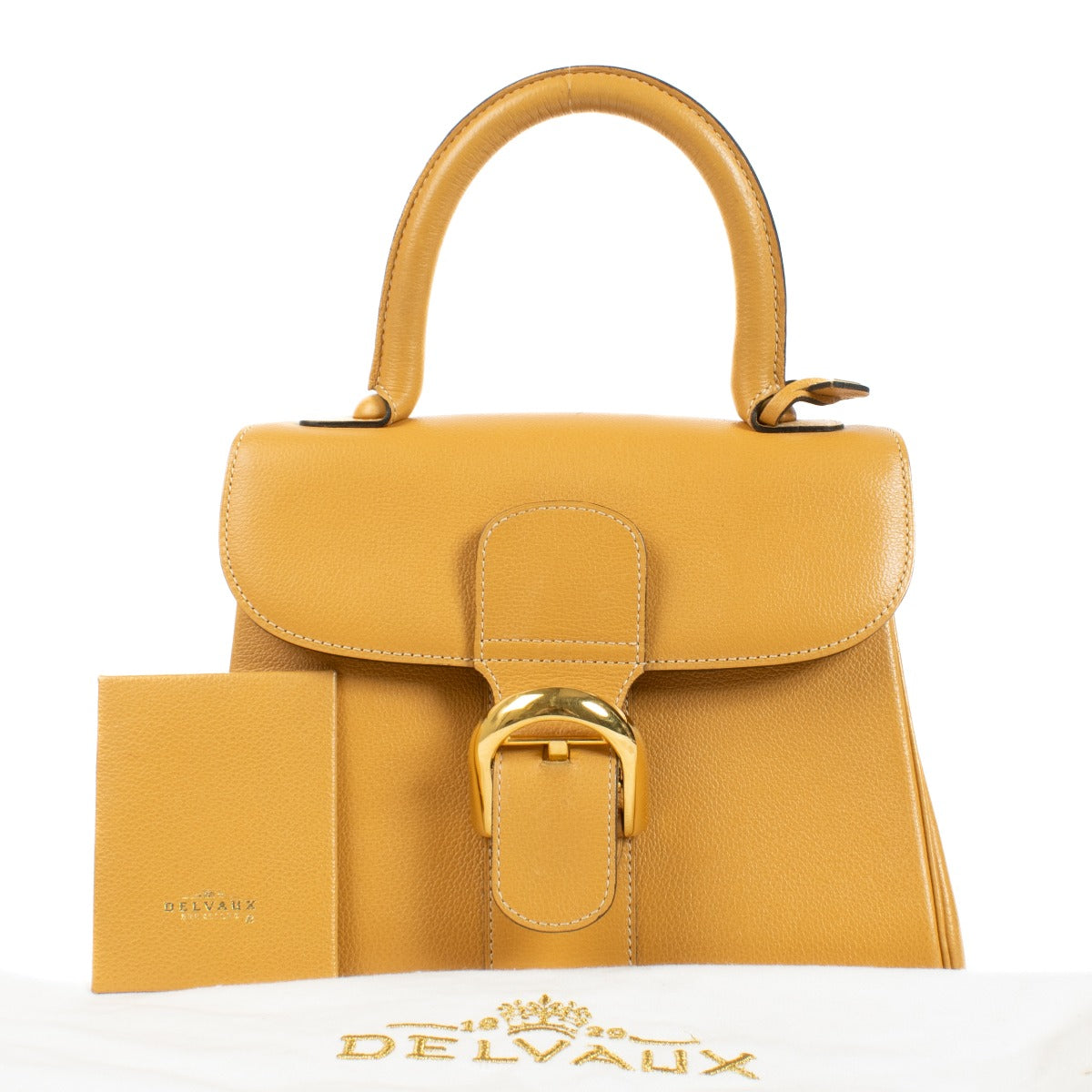 Authentic second hand Delvaux Houblon Jumping Brillant PM Bag on Labellov.com