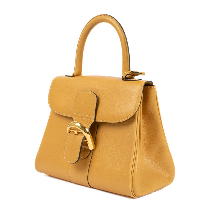 Authentic second hand Delvaux Houblon Jumping Brillant PM Bag on Labellov.com