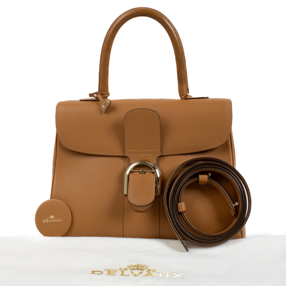 Delvaux Vegetal Sellier Brillant MM