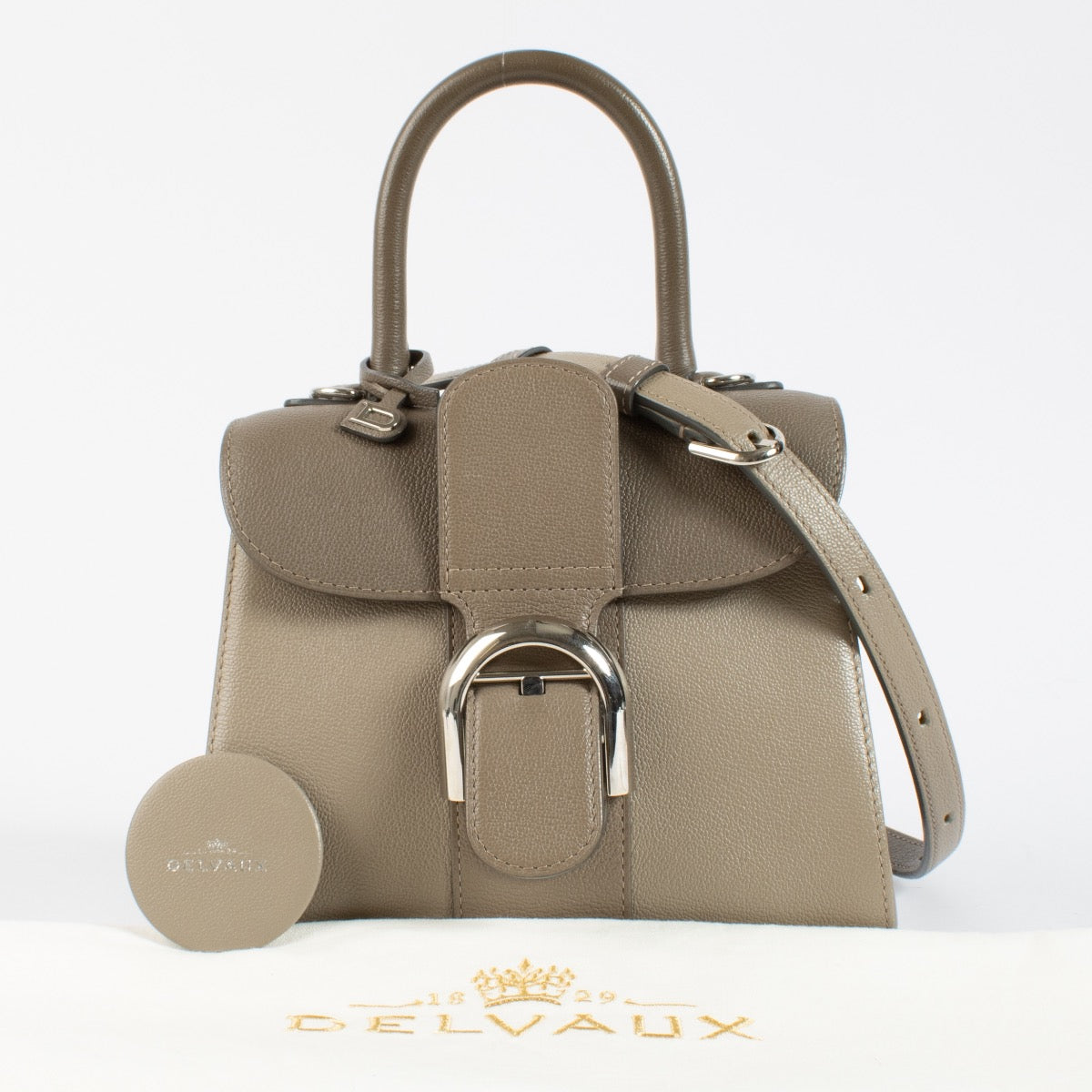 Authentic second hand Delvaux Tourterelle Camaieux Rodeo Calf Brillant Mini on Labellov.com