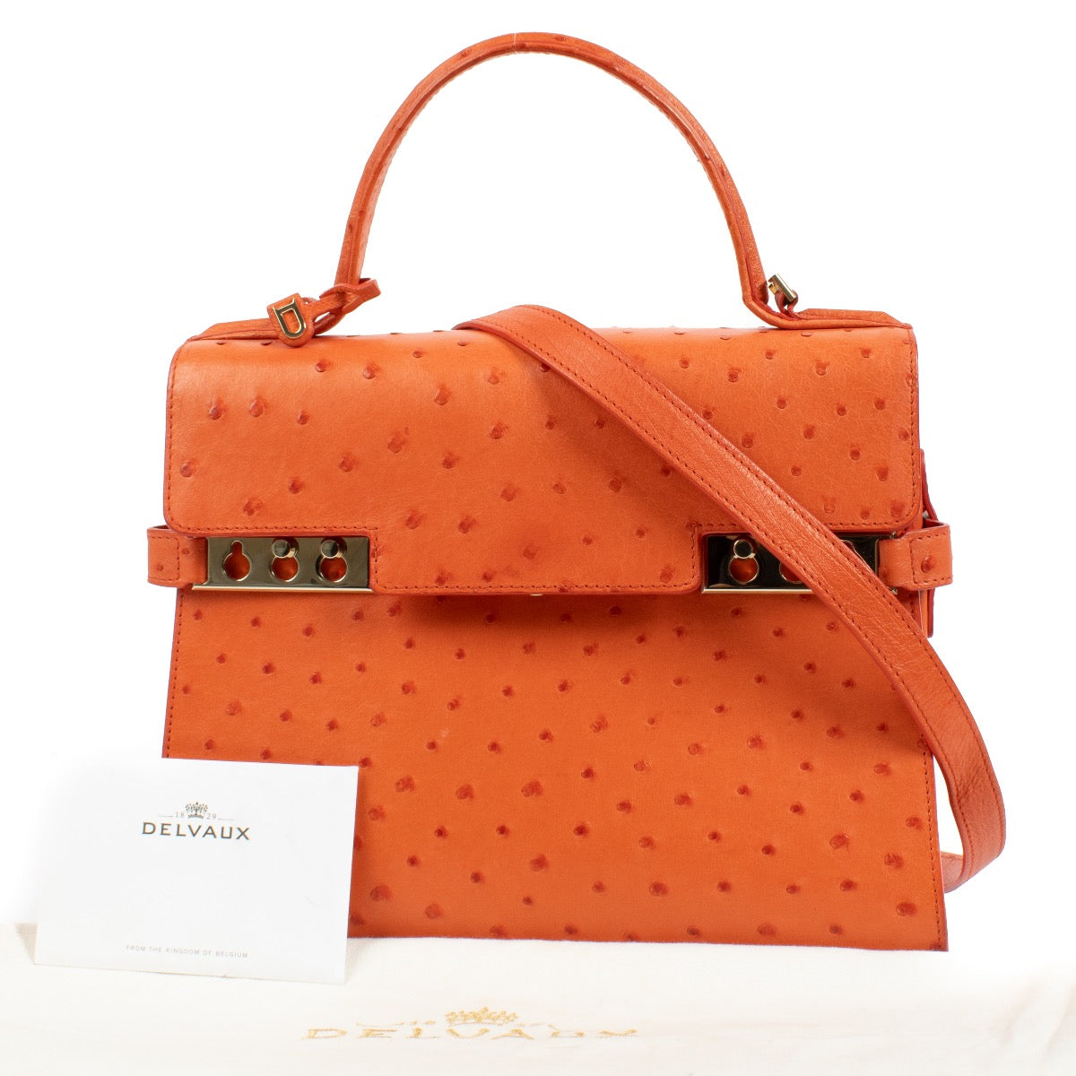 Shop 100% authentic second hand Delvaux Piment Ostrich Tempete MM Bag on Labellov.com