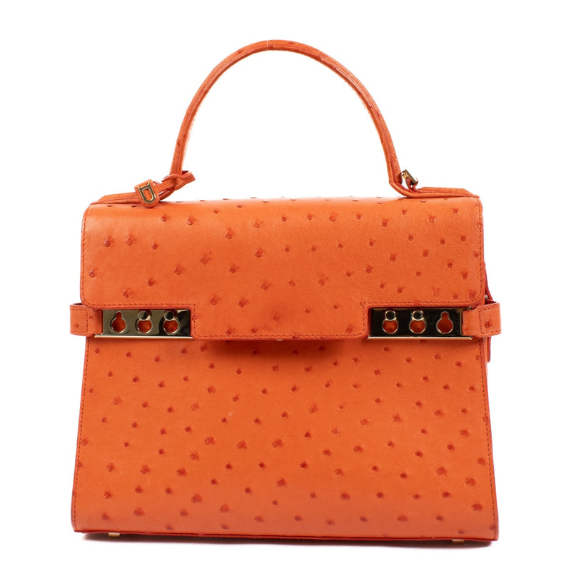 Shop 100% authentic second hand Delvaux Piment Ostrich Tempete MM Bag on Labellov.com