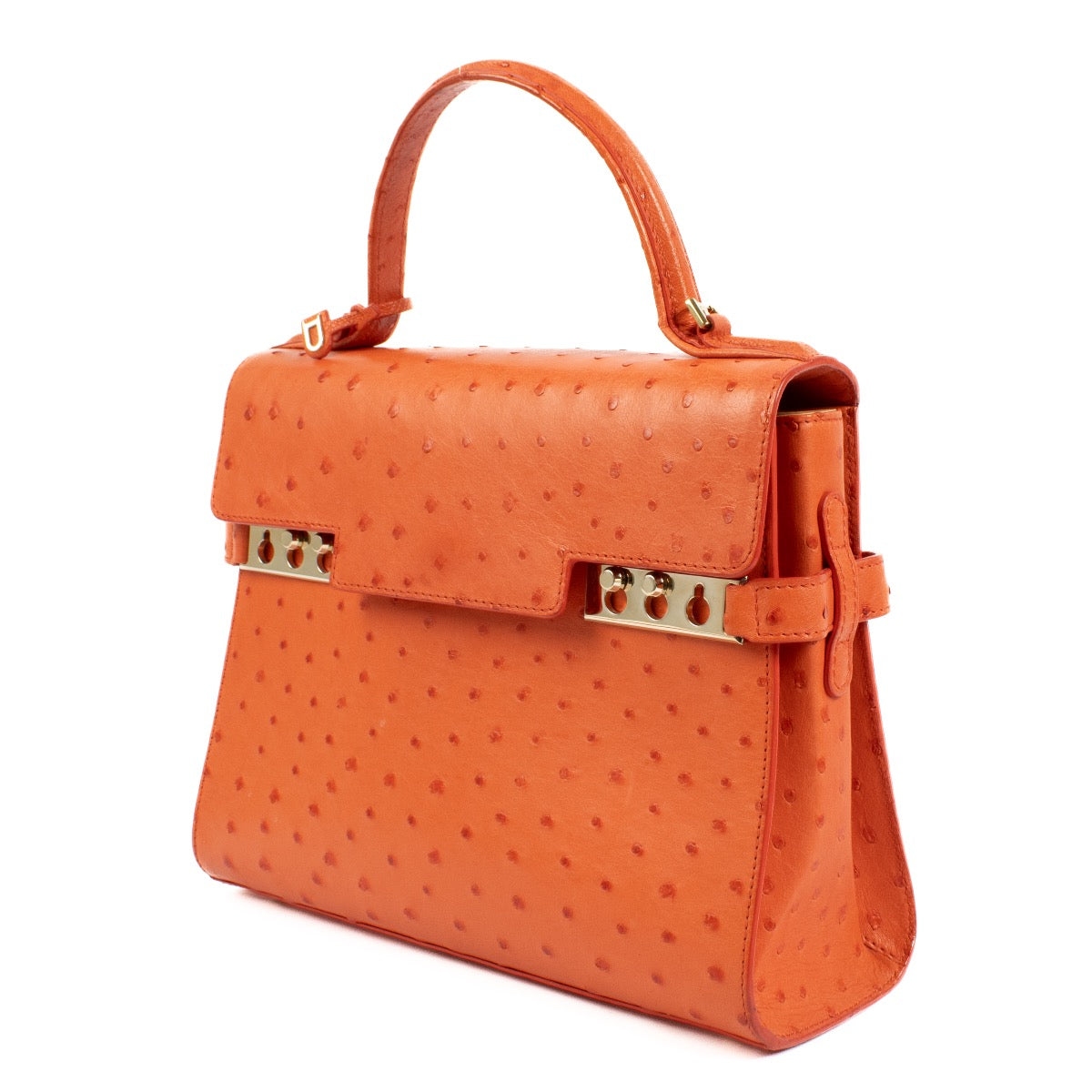 Shop 100% authentic second hand Delvaux Piment Ostrich Tempete MM Bag on Labellov.com