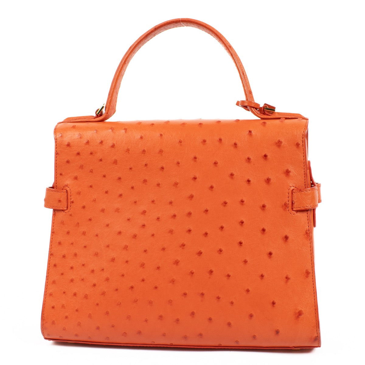 Shop 100% authentic second hand Delvaux Piment Ostrich Tempete MM Bag on Labellov.com