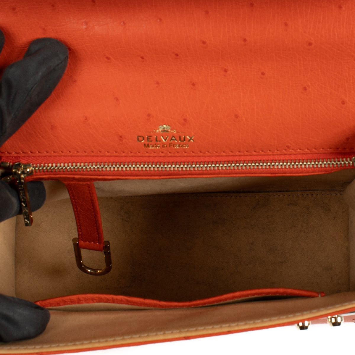 Shop 100% authentic second hand Delvaux Piment Ostrich Tempete MM Bag on Labellov.com