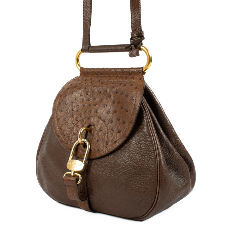 shop 100% authentic second hand Delvaux Brown Ostrich Cerceau GM on Labellov.com