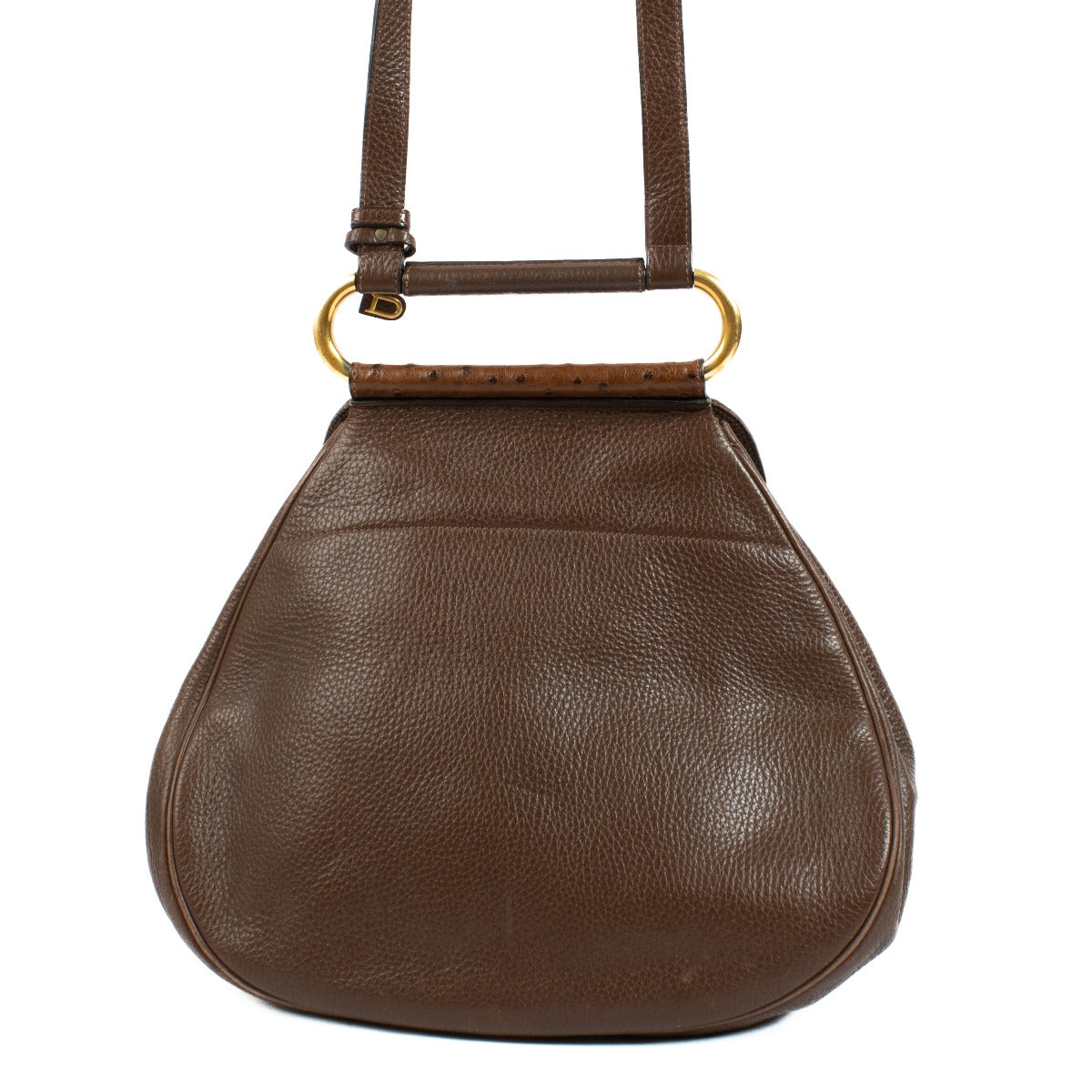 shop 100% authentic second hand Delvaux Brown Ostrich Cerceau GM on Labellov.com