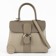 authentic preloved Delvaux Tourterelle Camaieux Brillant MM on Labellov.com