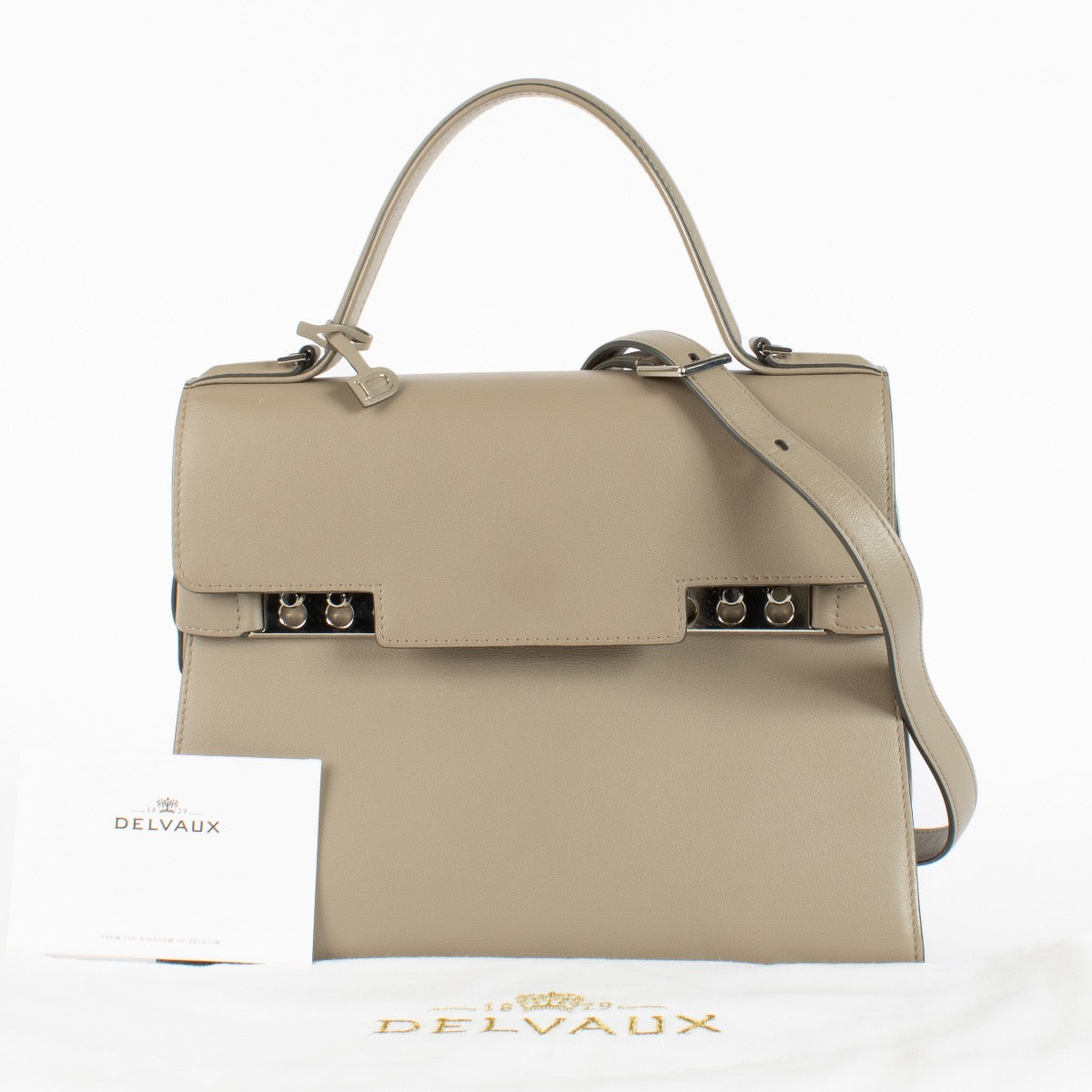 Authentic Second Hand Delvaux Tourterelle Souple Calf Tempête MM on Labellov.com