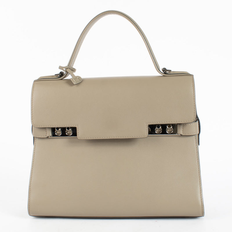 Authentic Second Hand Delvaux Tourterelle Souple Calf Tempête MM on Labellov.com