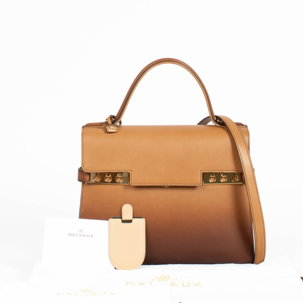 Authentic pre-loved Delvaux Vegetal Dream Phantom Tempête MM on Labellov.com