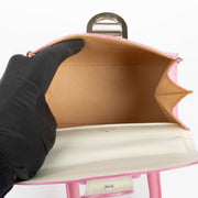 Shop this 100% authentic Delvaux Flamingo Cuir Oeillet Brillant Mini Bag at Labellov.com