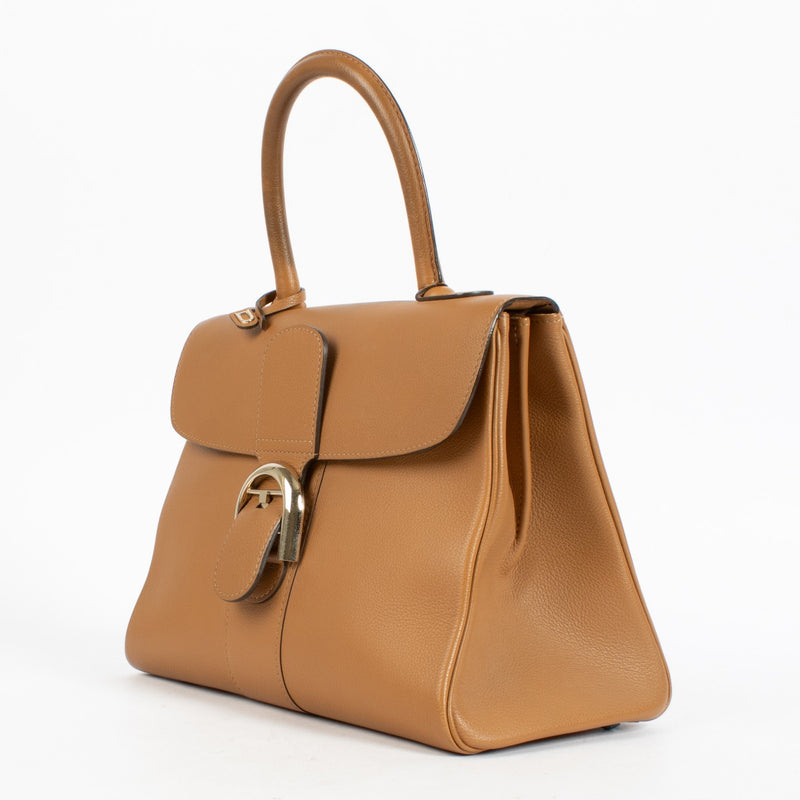 Delvaux Vegetal Sellier Brillant MM Bag