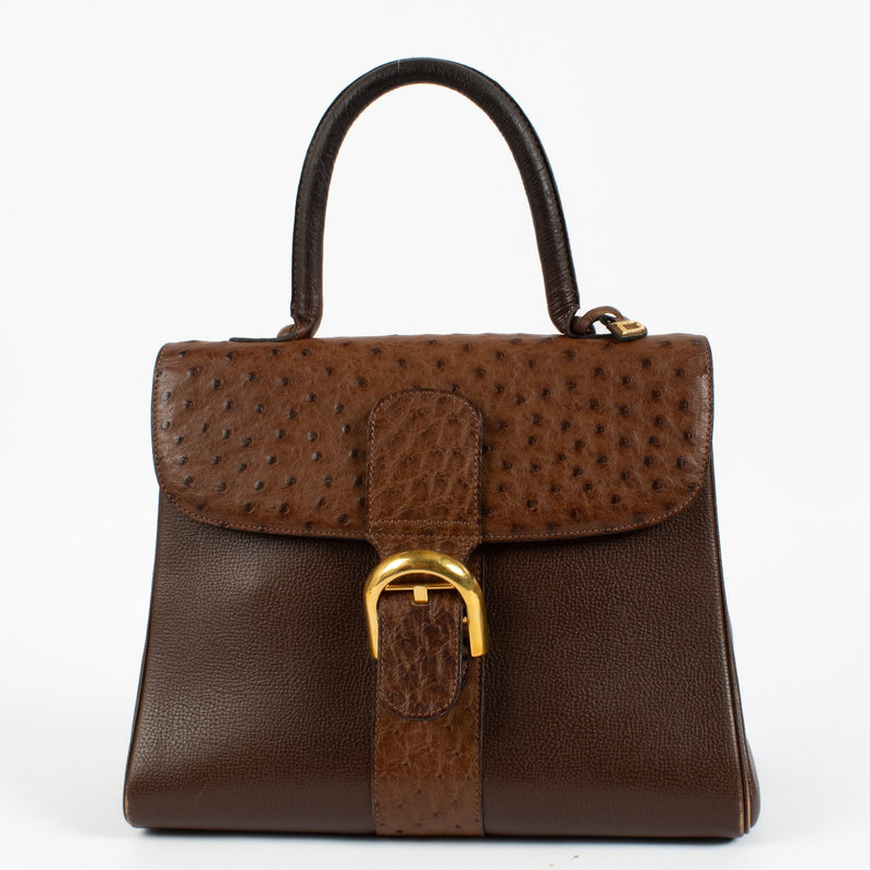 Delvaux Brown Ostrich/Trotteur Brillant MM