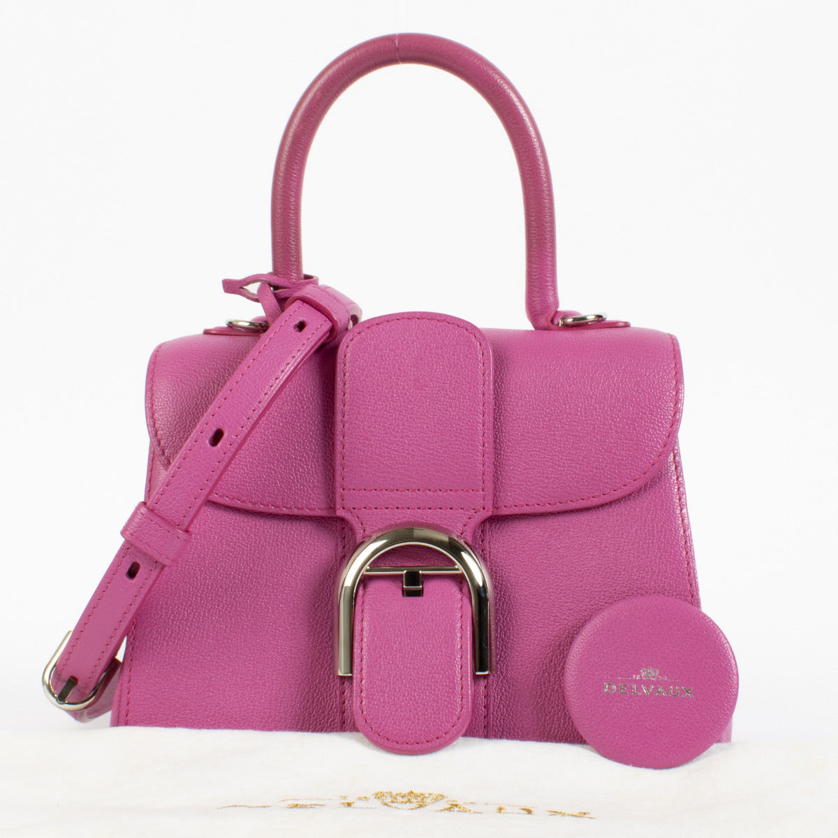 Close-up of Delvaux mini Brillant showing signature clasp and top handle detail.
