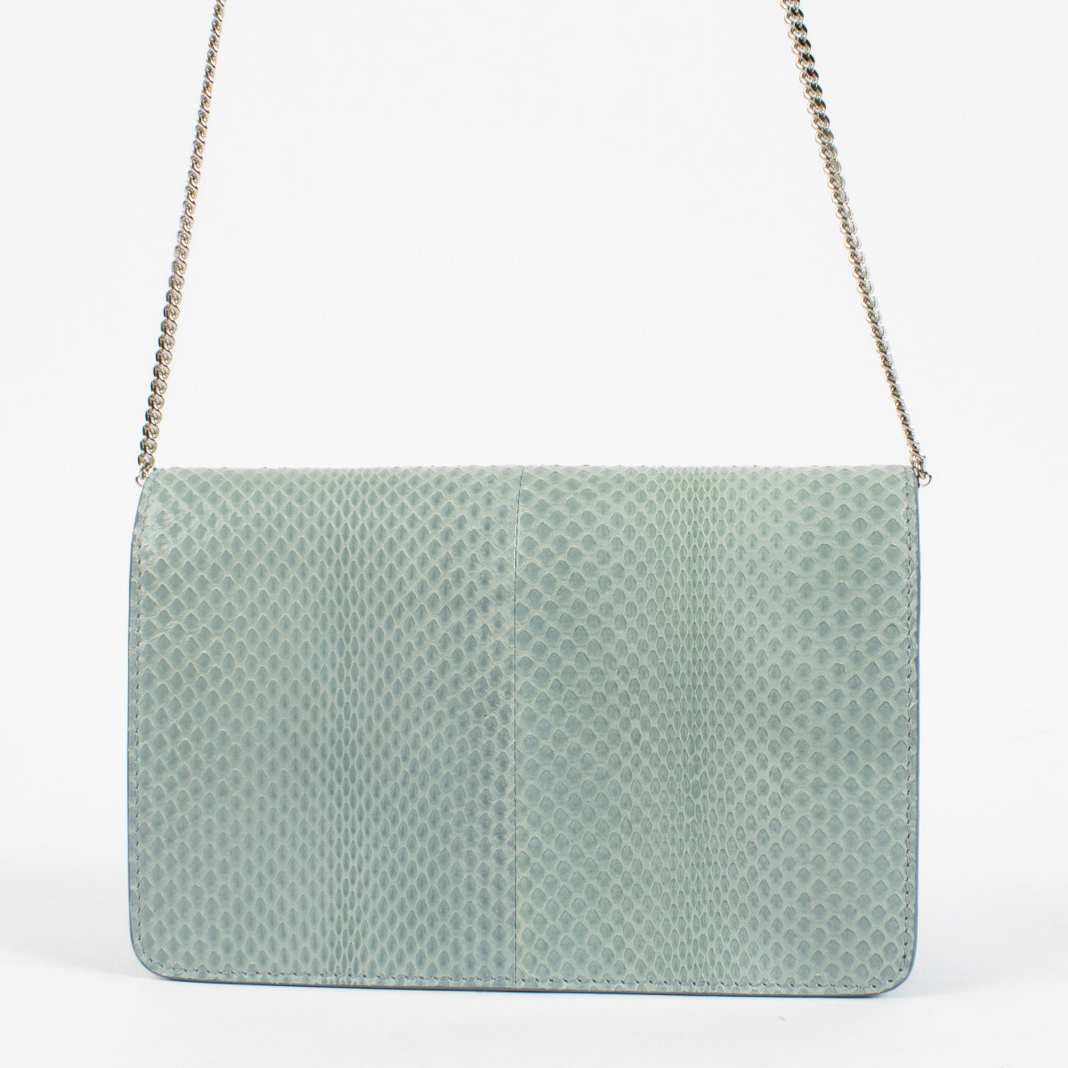 Fendi Baby Blue Python Tube Chain Wallet Tas