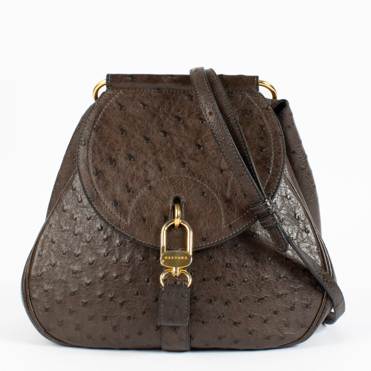 Delvaux Brown Ostrich Cerceau PM Bag