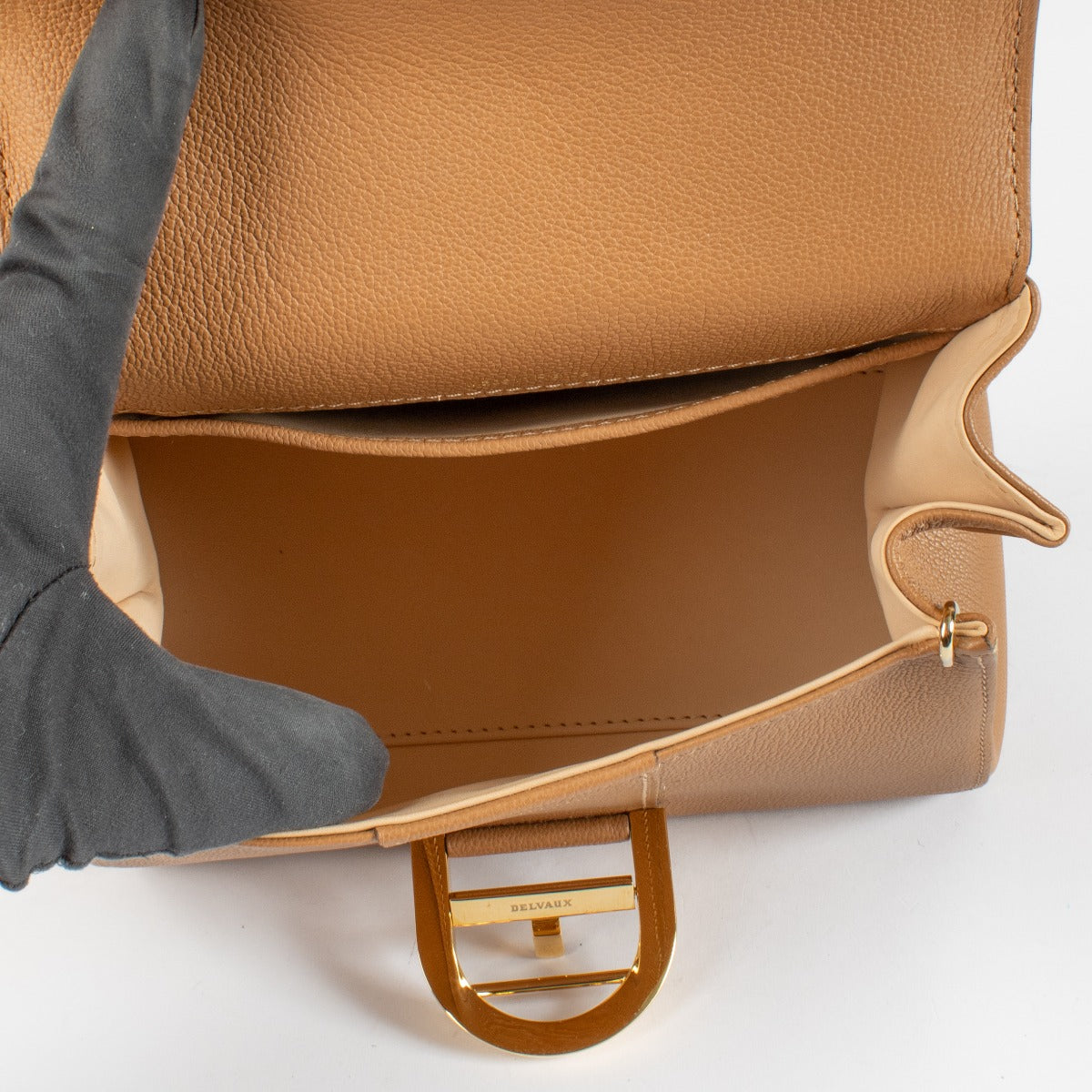 Authentic preloved Delvaux Vegetal Rodeo Calf Brillant Mini on Labellov.com