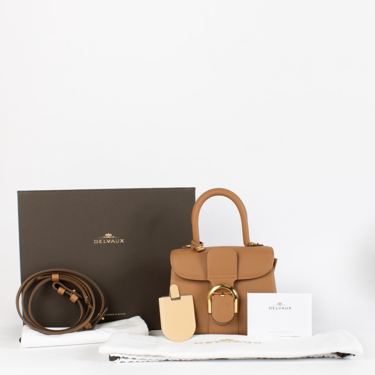 Authentic preloved Delvaux Vegetal Rodeo Calf Brillant Mini on Labellov.com