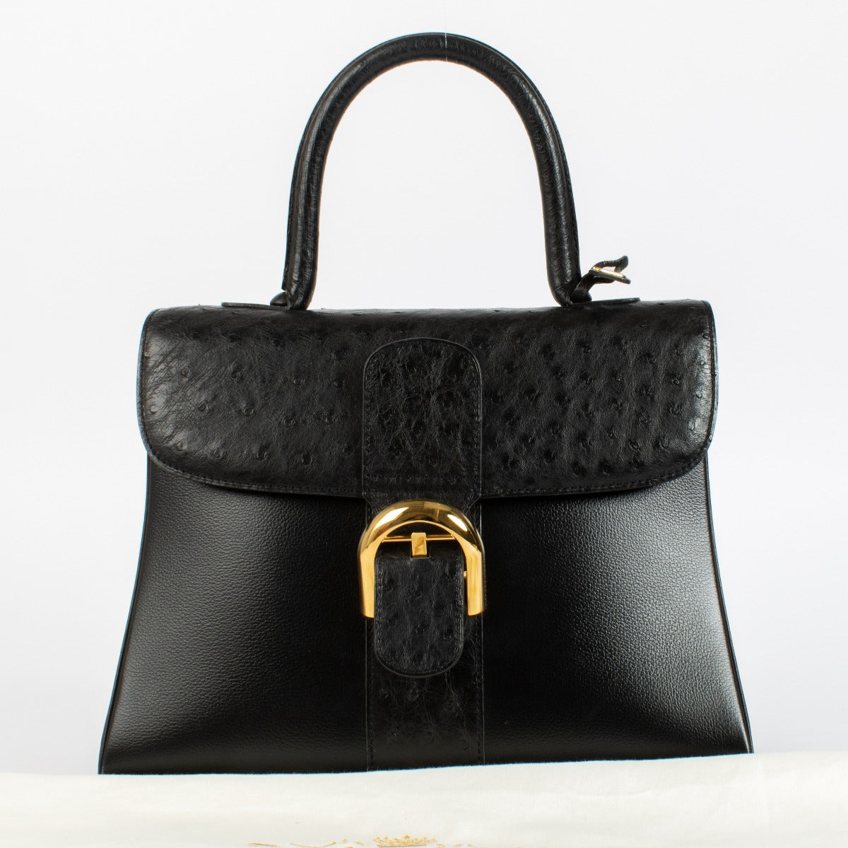 Delvaux Brillant MM en autruche noire