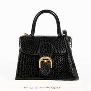 Delvaux Brillant PM Croco