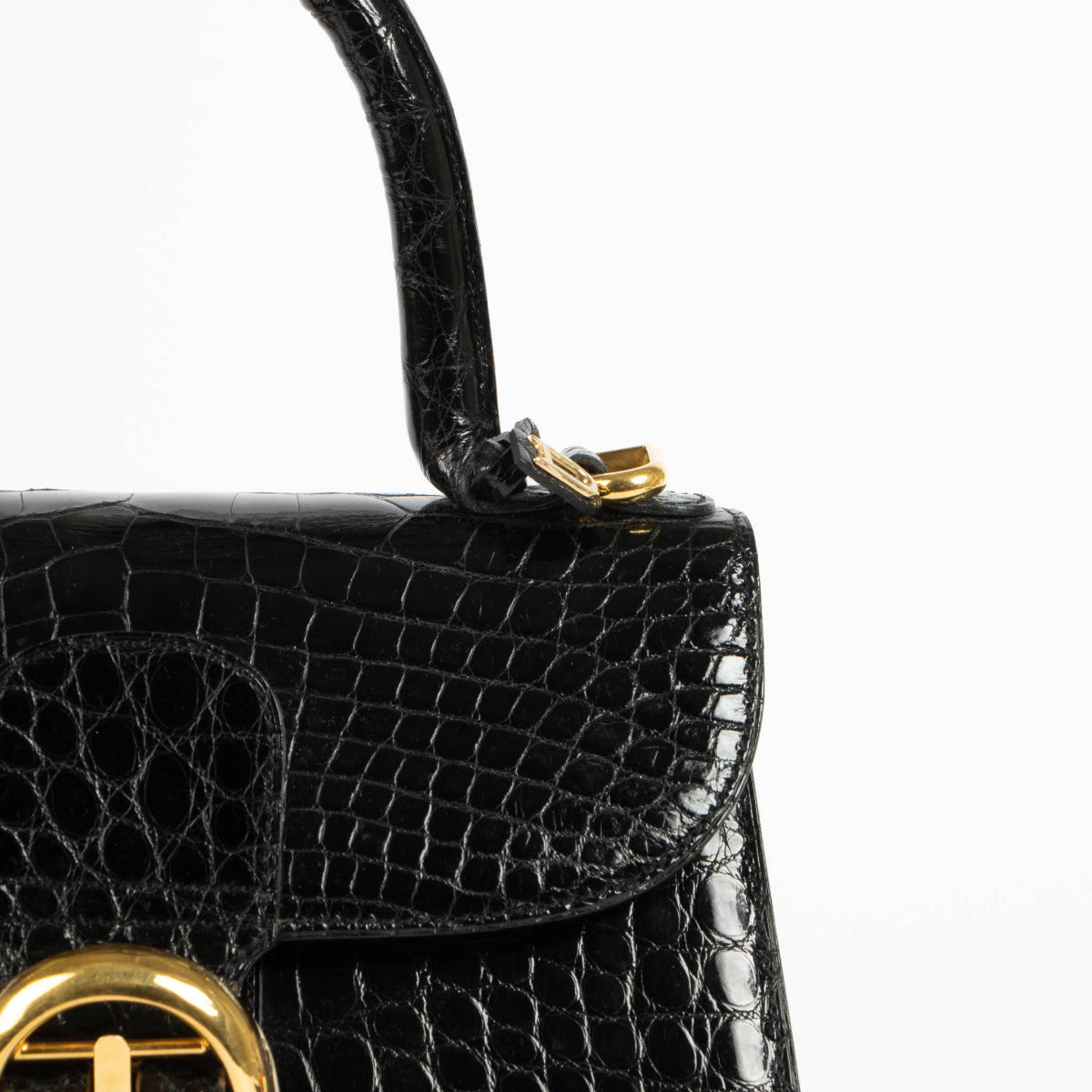 Delvaux Brillant PM Crocodile Leather Bag