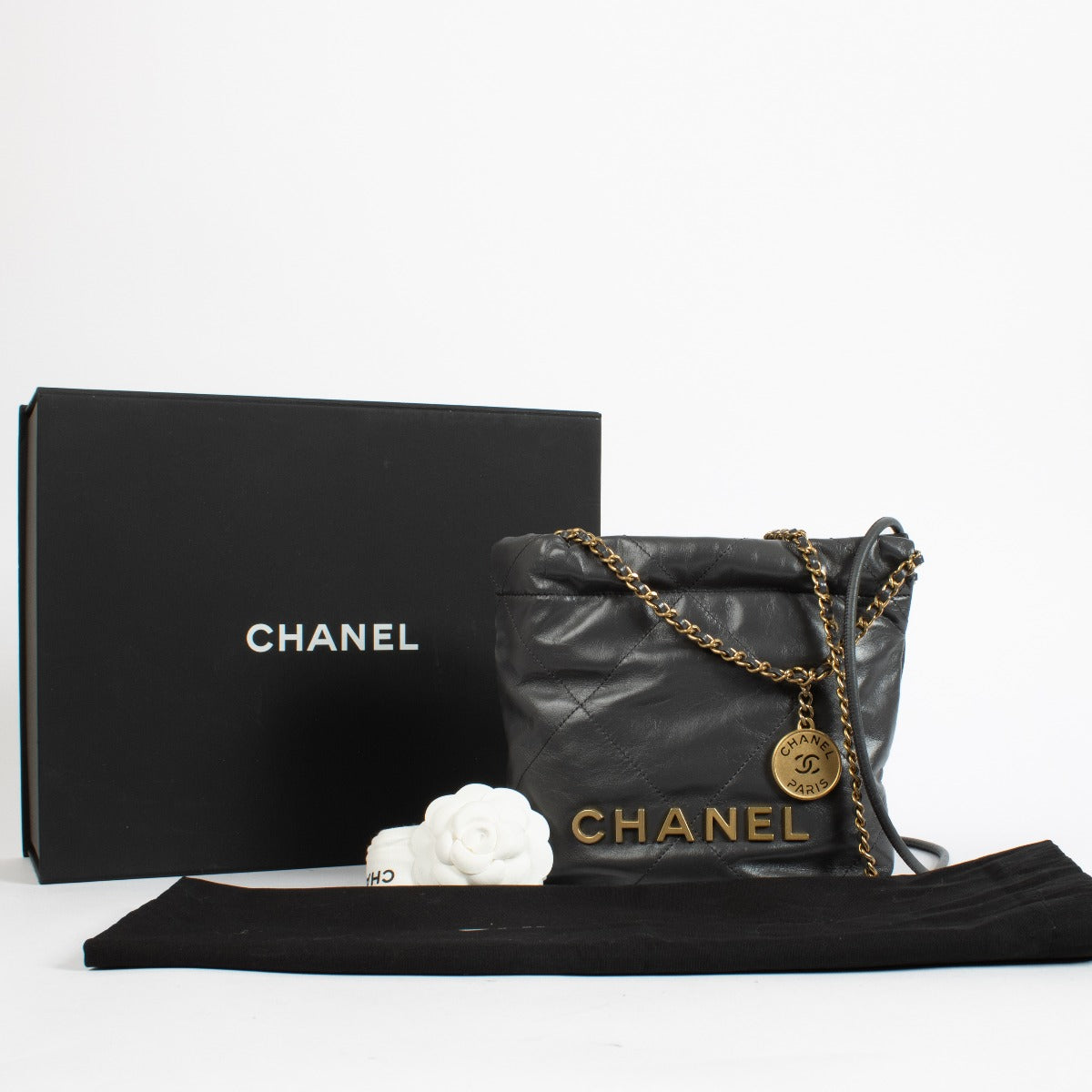 Chanel 22 Mini Gris Chanel