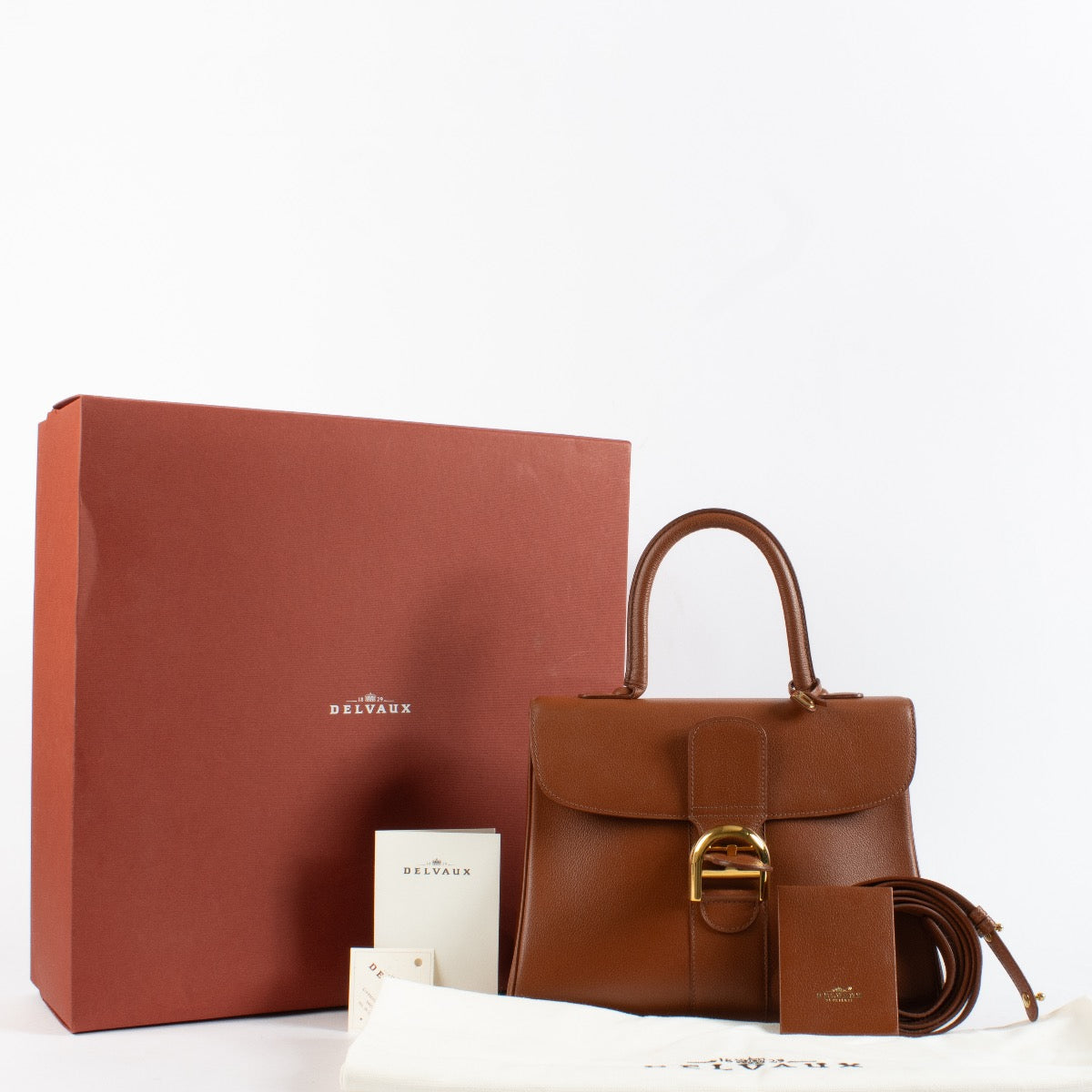 Authentic Second Hand Delvaux Alezan Jumping Brillant MM on Labellov.com