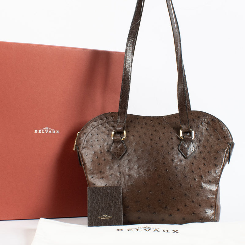 Authentic Second Hand Delvaux Palissandre Ostrich Cachette Bag on Labellov.com
