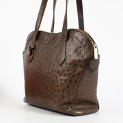 Authentic Second Hand Delvaux Palissandre Ostrich Cachette Bag on Labellov.com