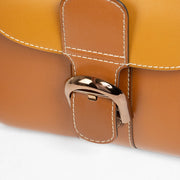 Authentic pre-loved Delveaux Vegetal Camaieux Box Calf Brillant Mini on Labellov.com