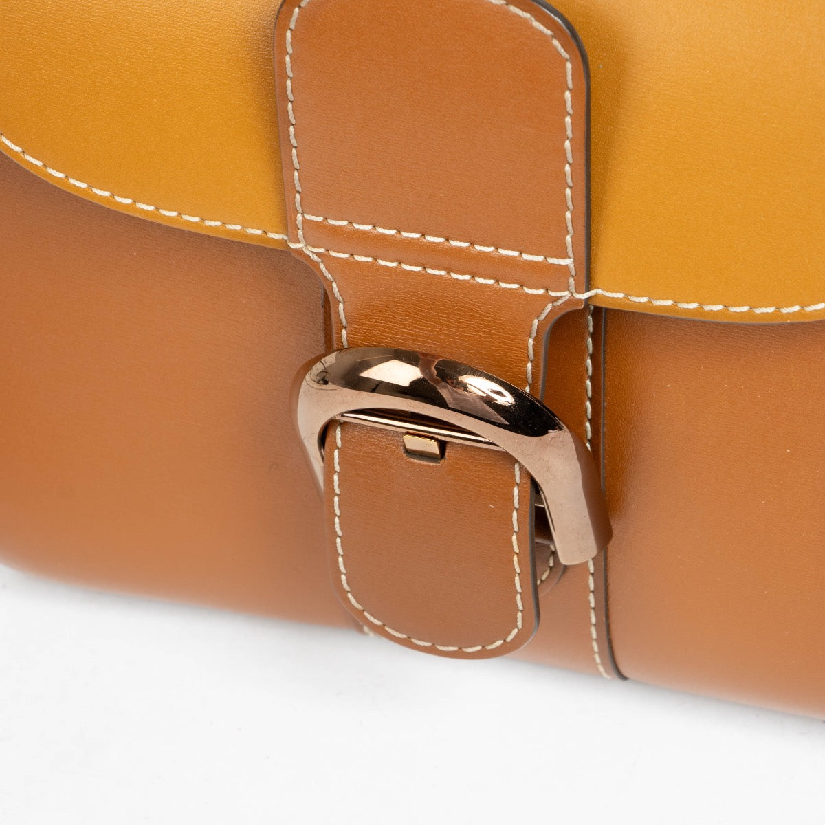 Authentic pre-loved Delveaux Vegetal Camaieux Box Calf Brillant Mini on Labellov.com