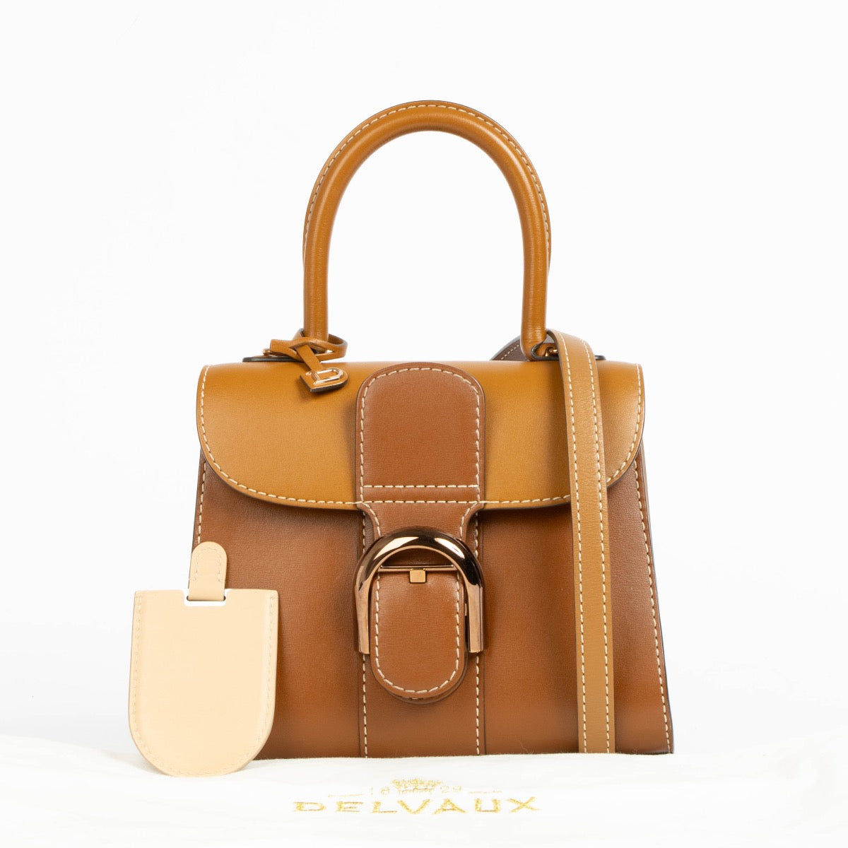 Authentic pre-loved Delveaux Vegetal Camaieux Box Calf Brillant Mini on Labellov.com
