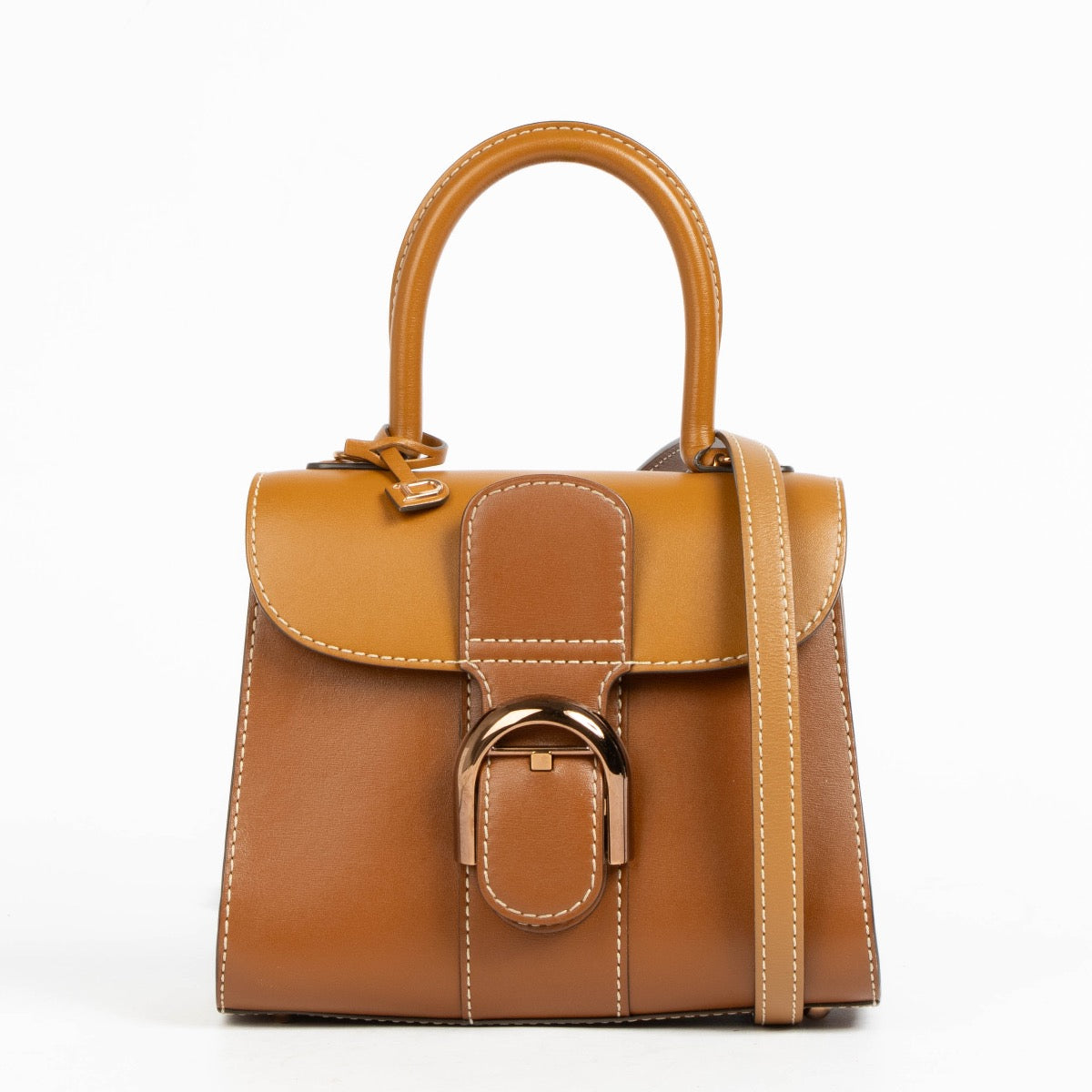 Authentic pre-loved Delveaux Vegetal Camaieux Box Calf Brillant Mini on Labellov.com