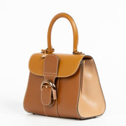 Authentic pre-loved Delveaux Vegetal Camaieux Box Calf Brillant Mini on Labellov.com