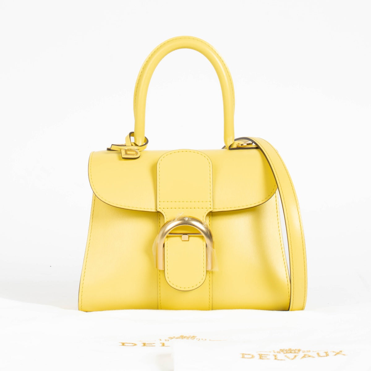 Authentic pre-loved Delvaux Sorbetto Box Calf Mini Brillant Bag on Labellov.com
