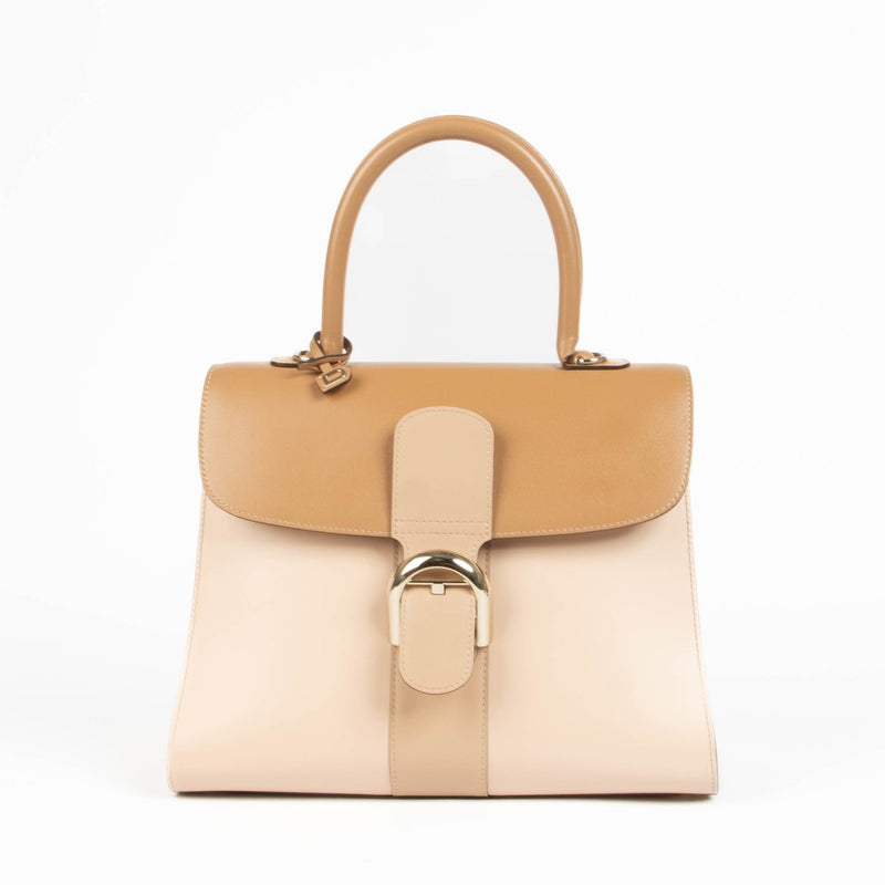 Shop this 100% authentic Delvaux Nude Box Calf Camaieux Brillant MM at Labellov.com