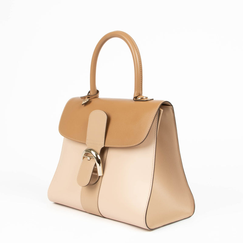 Shop this 100% authentic Delvaux Nude Box Calf Camaieux Brillant MM at Labellov.com