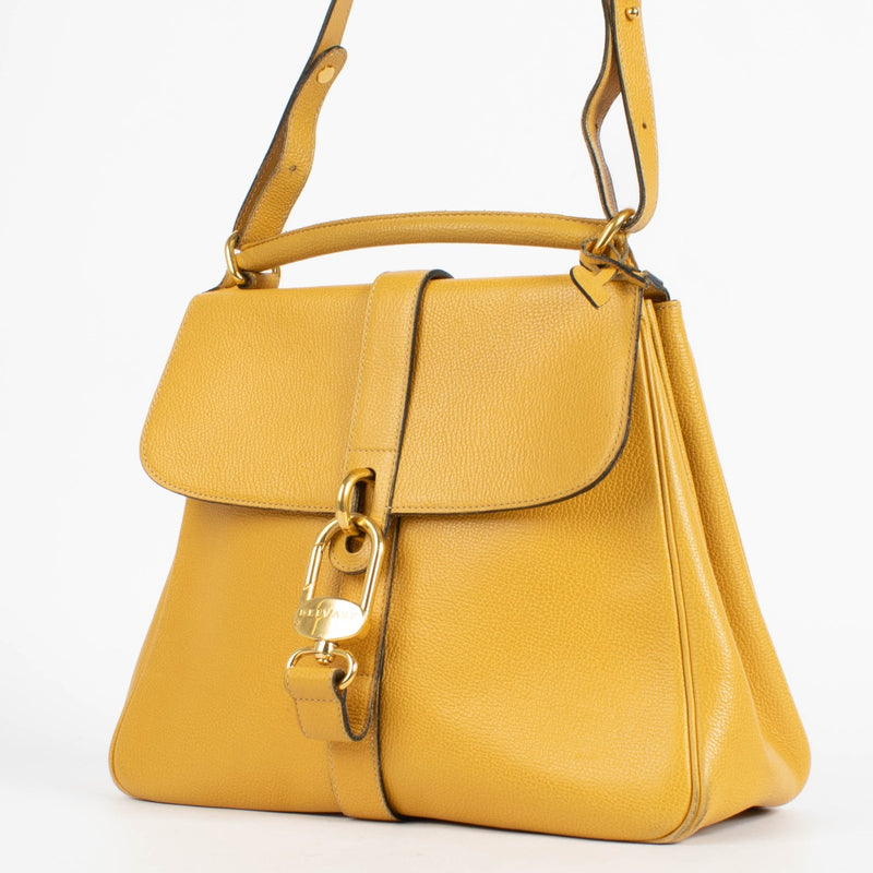 shop 100% authentic second hand Delvaux Houblon Gin Fizz Bag on Labellov.com