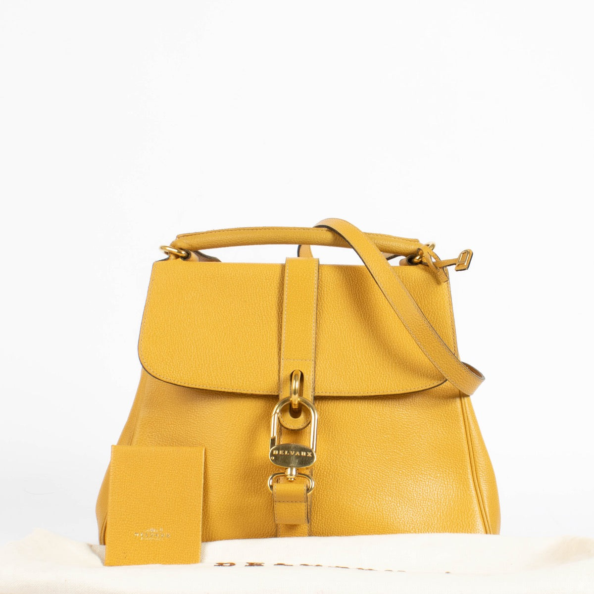 shop 100% authentic second hand Delvaux Houblon Gin Fizz Bag on Labellov.com
