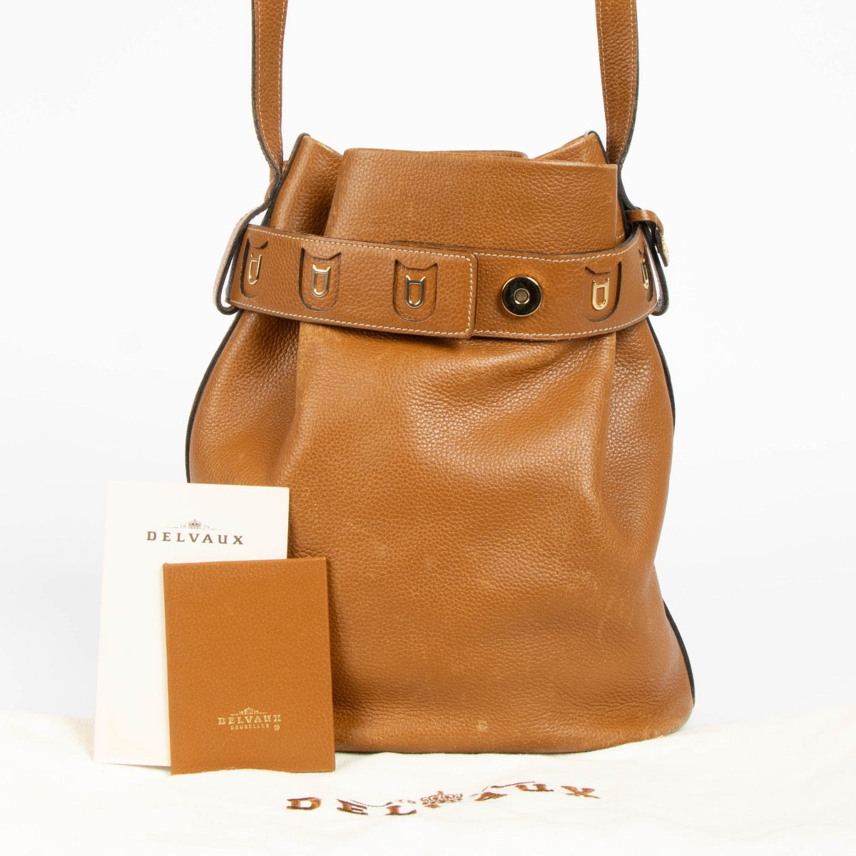Authentic pre-loved Delvaux Fauve Trotteur Calicot Bag on Labellov.com