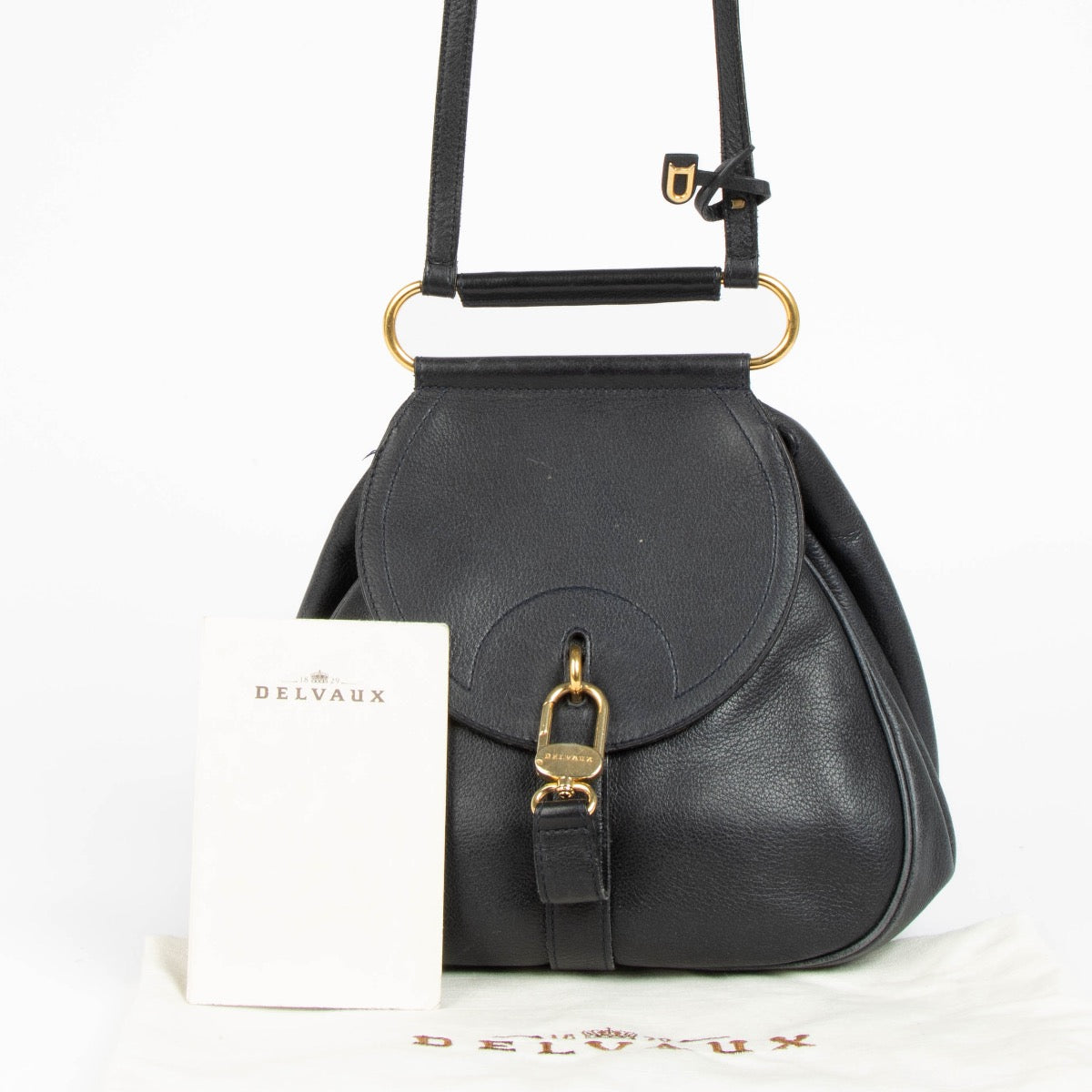 Authentic pre-loved Delvaux Marine Cerceau PM Backpack/Crossbody Bag on Labellov.com